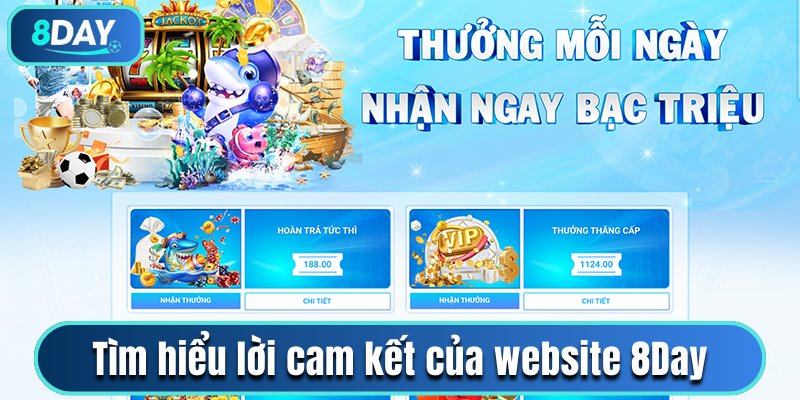 Tìm hiểu lời cam kết của website 8Day